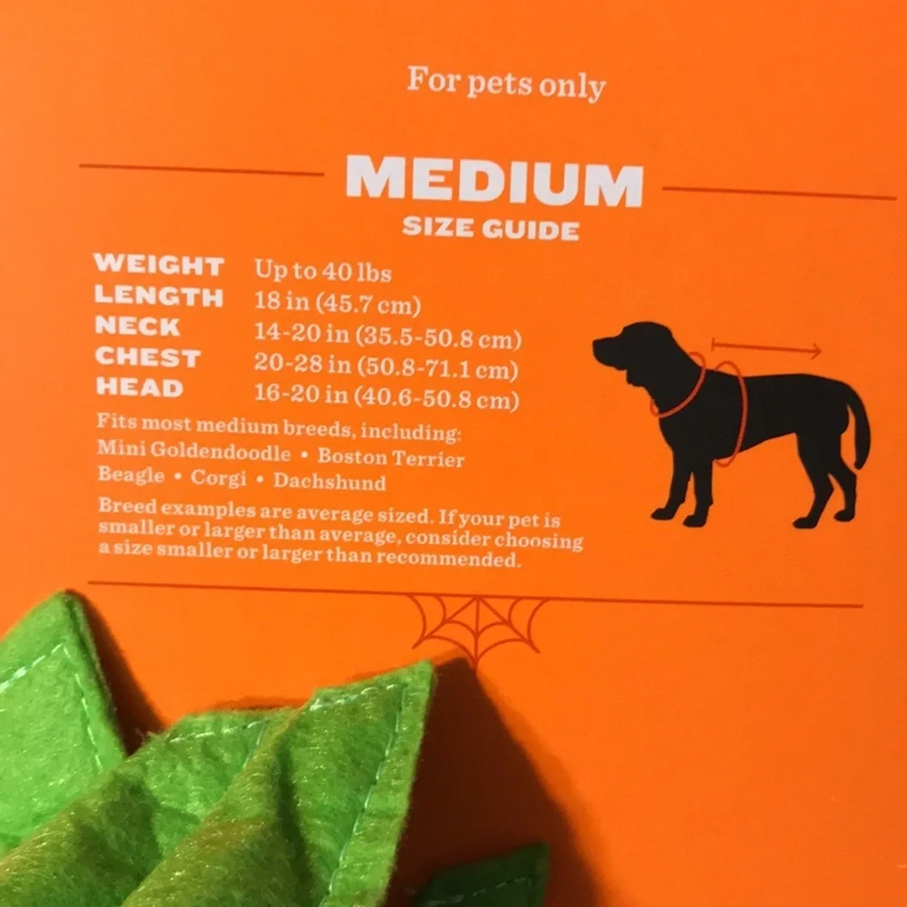 NIP Pet Stegosaurus Halloween Costume